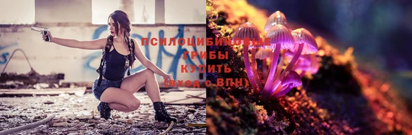 гашик Михайловка