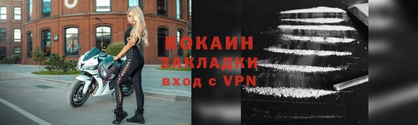 ПСИЛОЦИБИНОВЫЕ ГРИБЫ Михайлов
