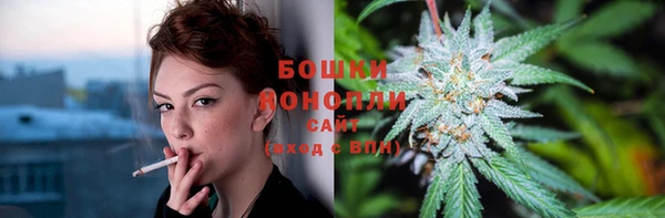 гашик Михайловка