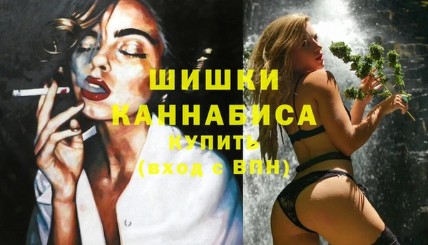 ПСИЛОЦИБИНОВЫЕ ГРИБЫ Михайлов