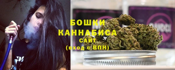 ПСИЛОЦИБИНОВЫЕ ГРИБЫ Михайлов