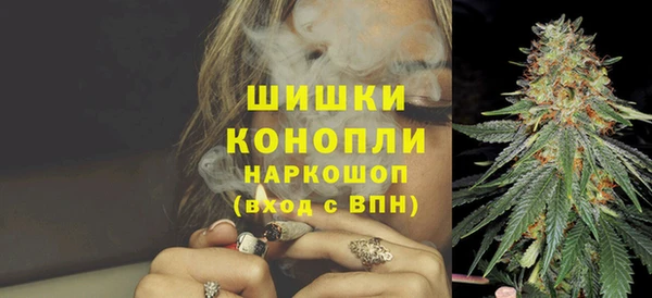 ПСИЛОЦИБИНОВЫЕ ГРИБЫ Михайлов