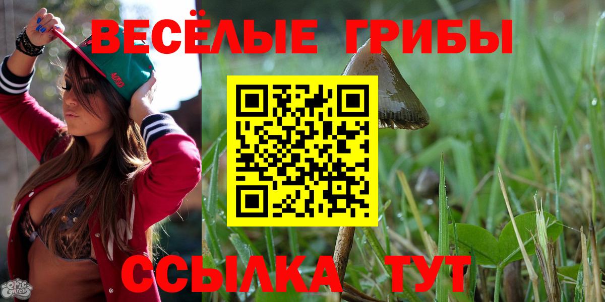Евпатория  где продают наркотики  Вход с VPN  Галлюциногенные грибы Magic Shrooms 
