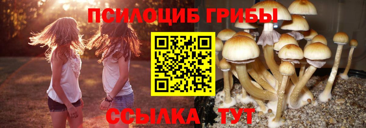 Галлюциногенные грибы мицелий Евпатория